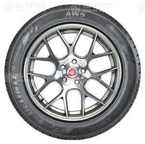 Delinte AW5 205/60 R16 96H